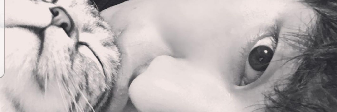 dairykoh's profile banner image