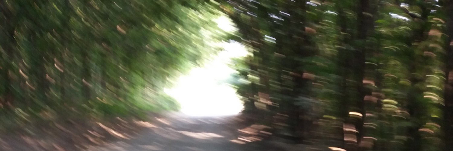 skitram's profile banner image