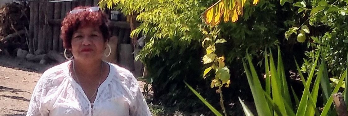 Isabelramosbrun's profile banner image
