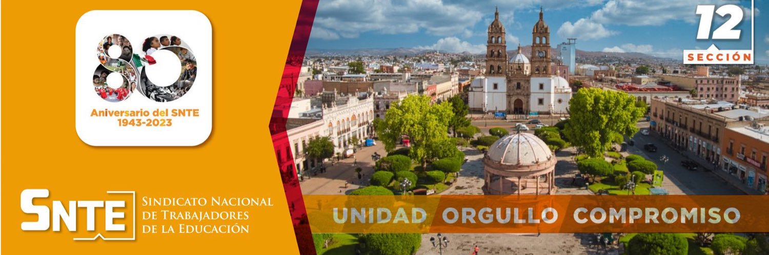 Snte12Durango banner