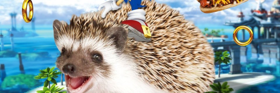 flaviotomazio's profile banner image