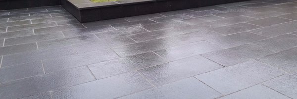 MangoExeter Profile Banner