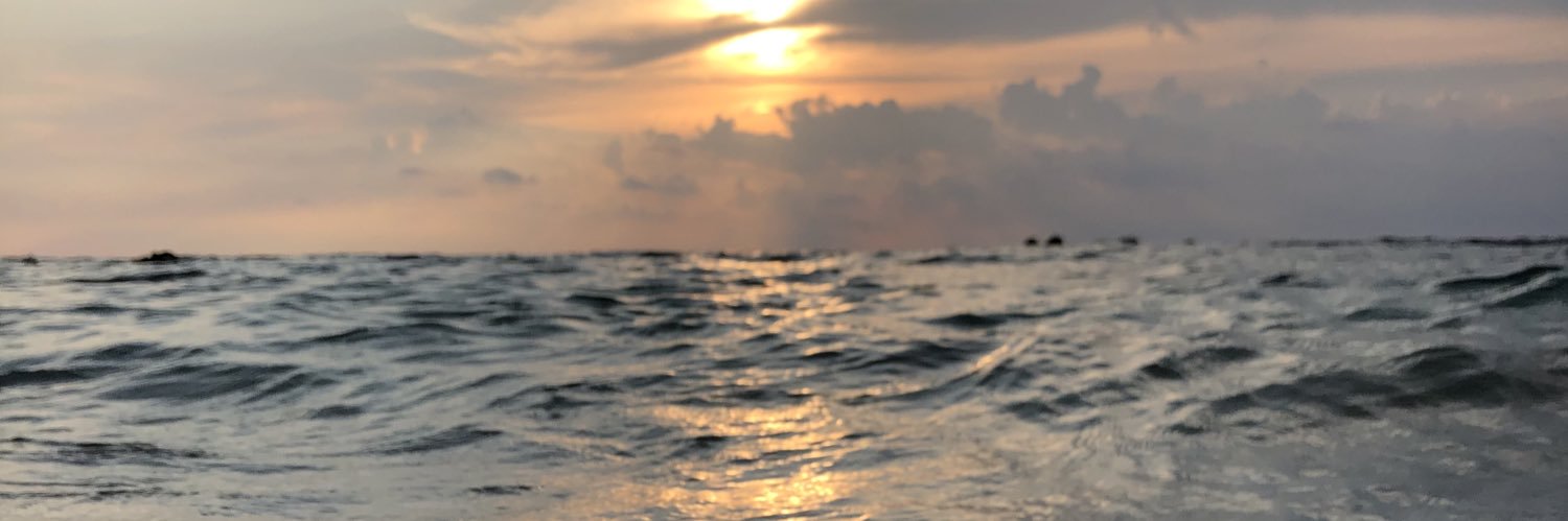 🐢 banner