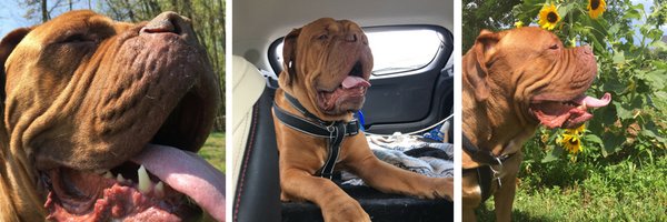 JenRunsBusiness Profile Banner