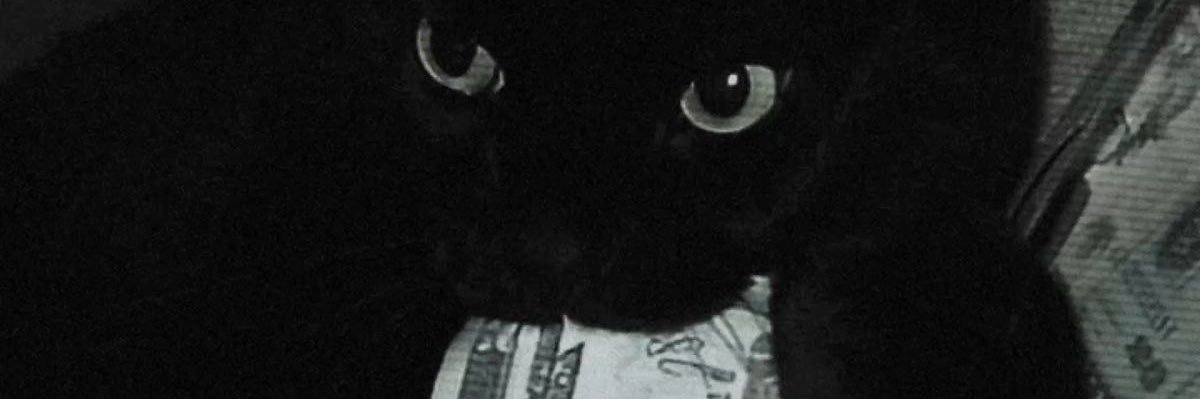 𝓞𝓹𝓸𝓵𝓵𝓸 banner