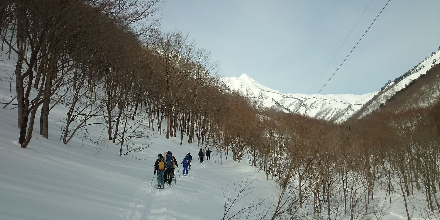 🚘️竹65(⁠´⁠(⁠ｪ⁠)⁠｀⁠） banner