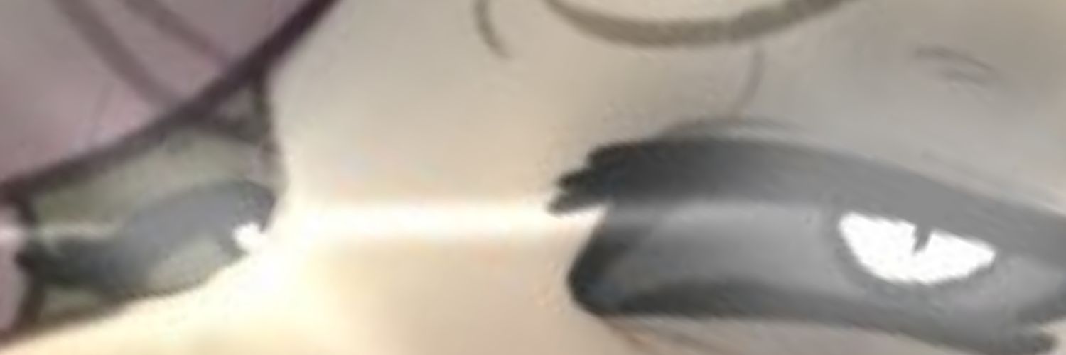 《 ♡ 𝓣𝓱𝓮 𝓛𝓾𝓼𝓽𝓯𝓾𝓵 𝓜𝓪𝓳𝓮𝓼𝓽𝔂 ♡ 》 banner