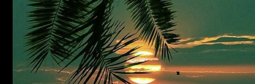 sylvia_bisson's profile banner image