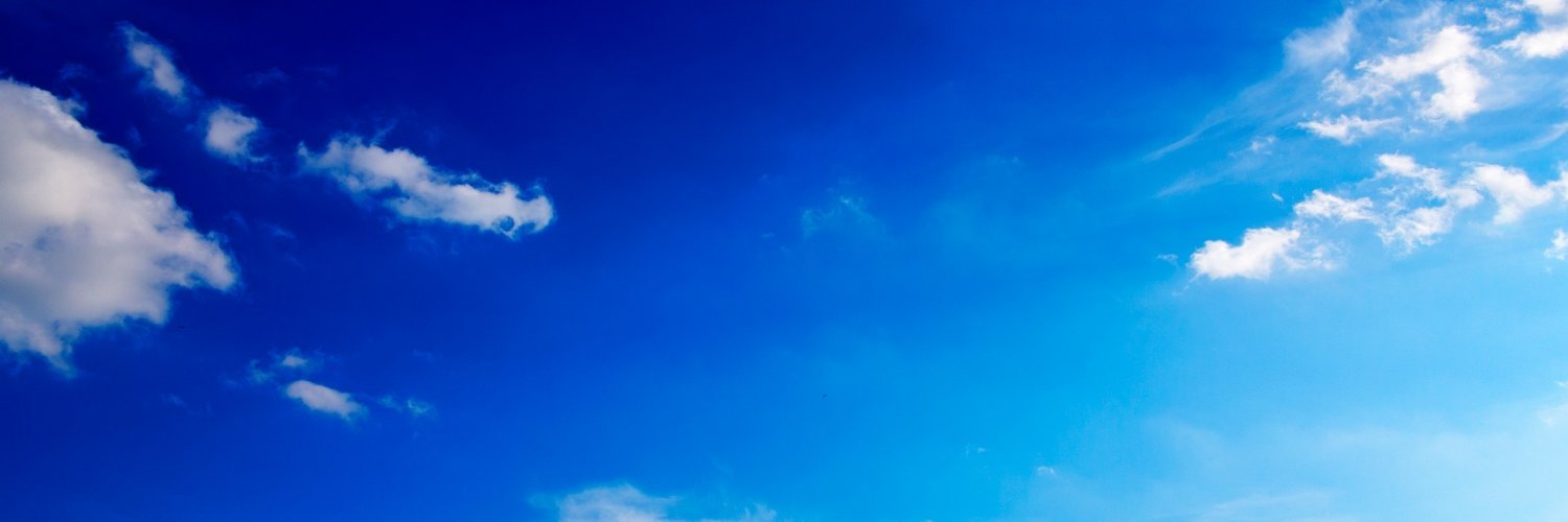 Lucy Optimist banner
