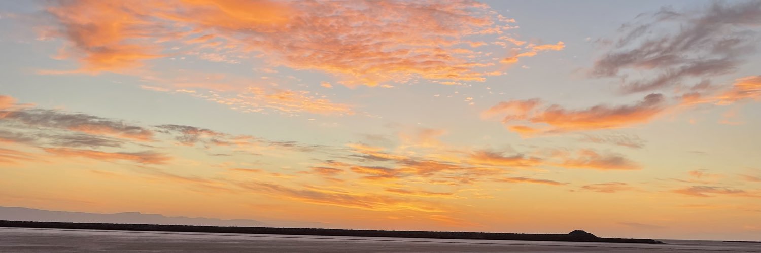 C O N S O M M A B L E banner