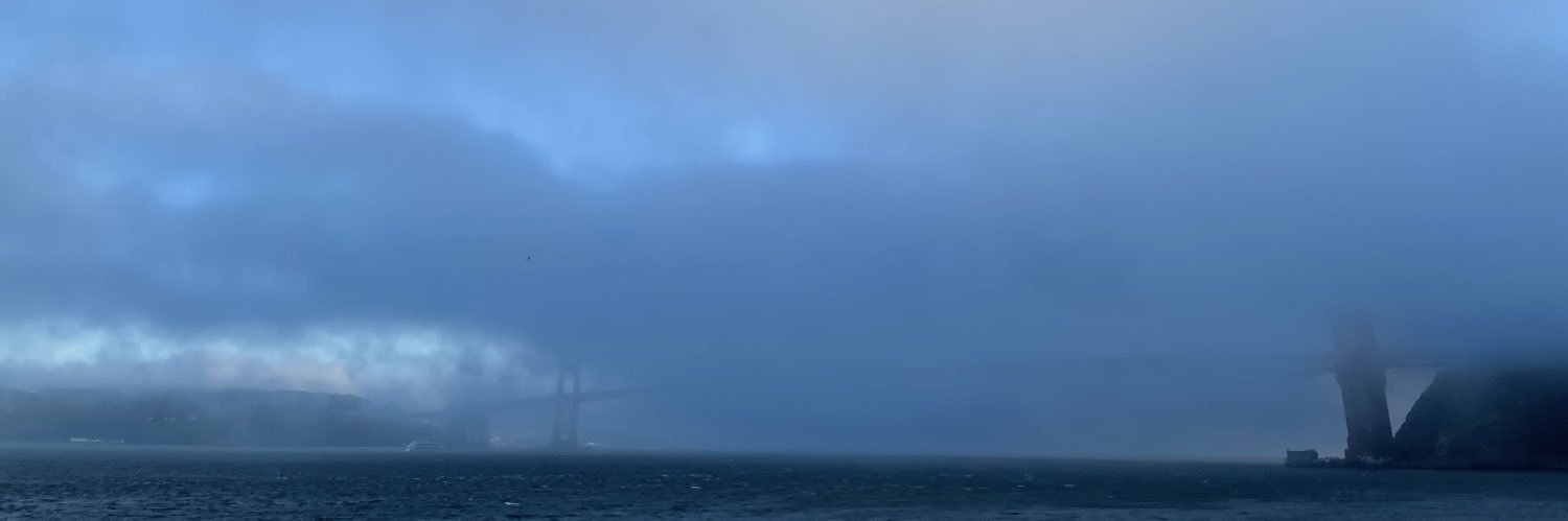 birdstillflies's profile banner image