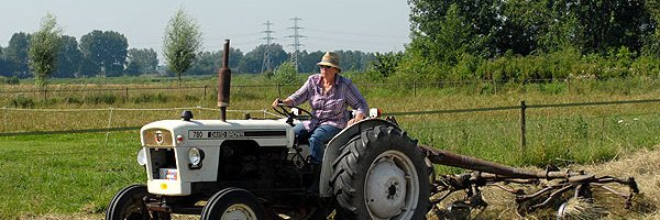 Jinke Hesterman banner