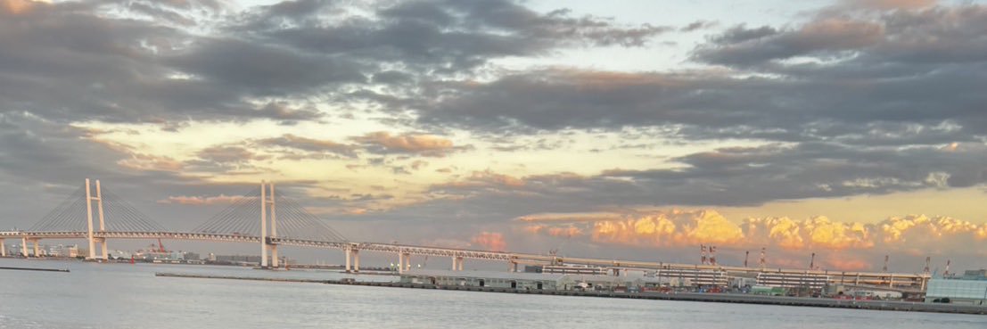 kyosorin's profile banner image