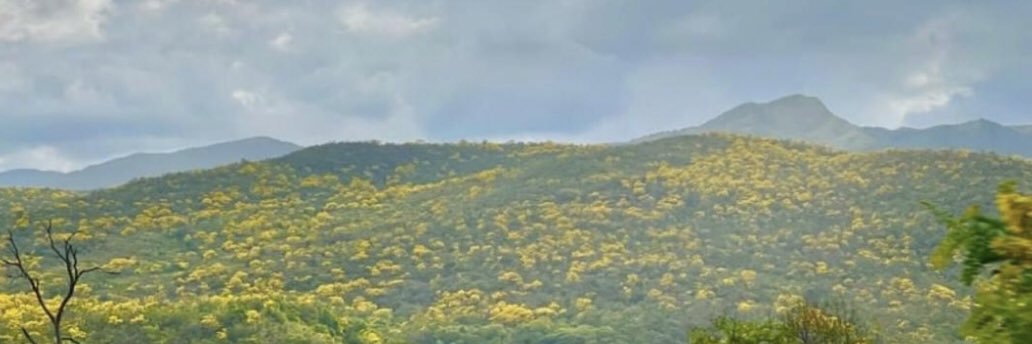 perezguilleg's profile banner image