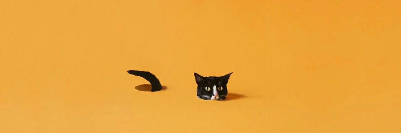 Casey_JF's profile banner image