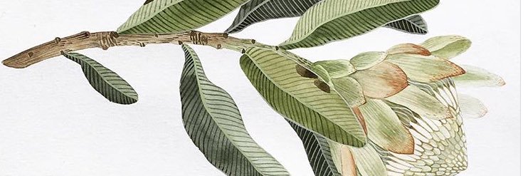 cmedellu's profile banner image