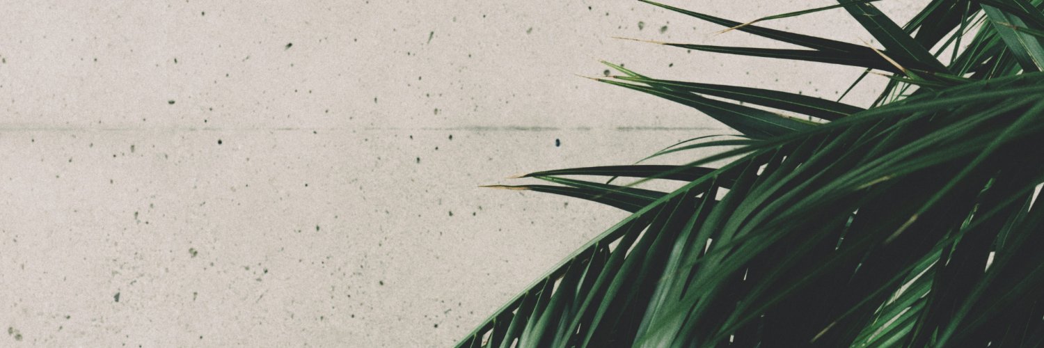KimDawson's profile banner image