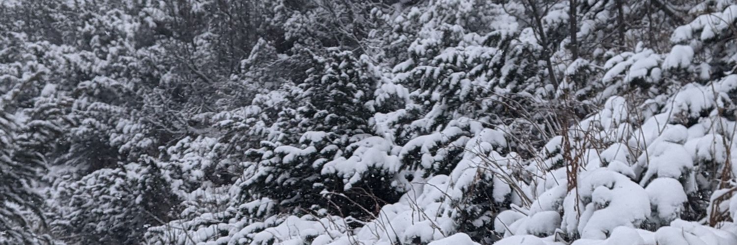 Alegzander5's profile banner image
