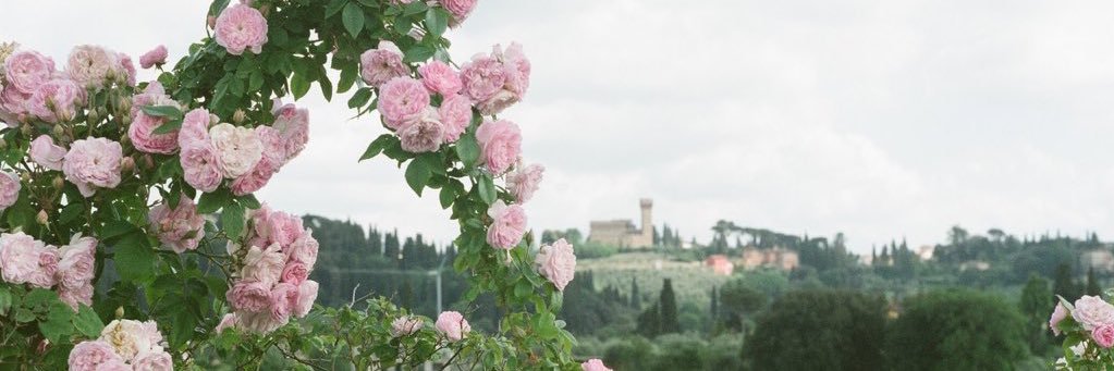 r_agd's profile banner image