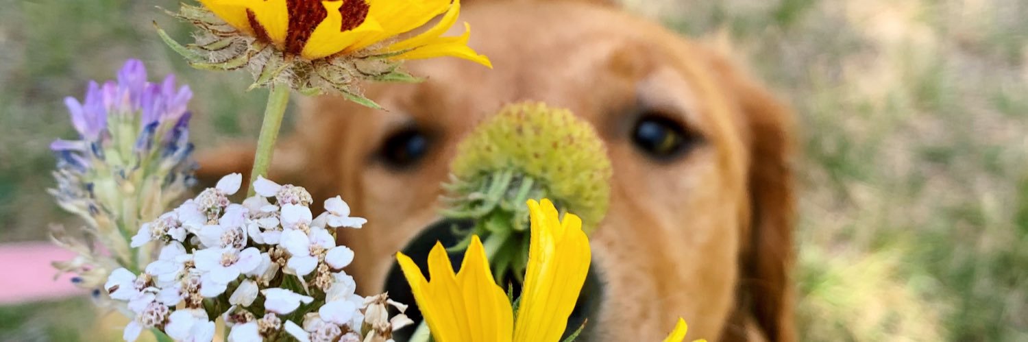 KingMadelyn's profile banner image