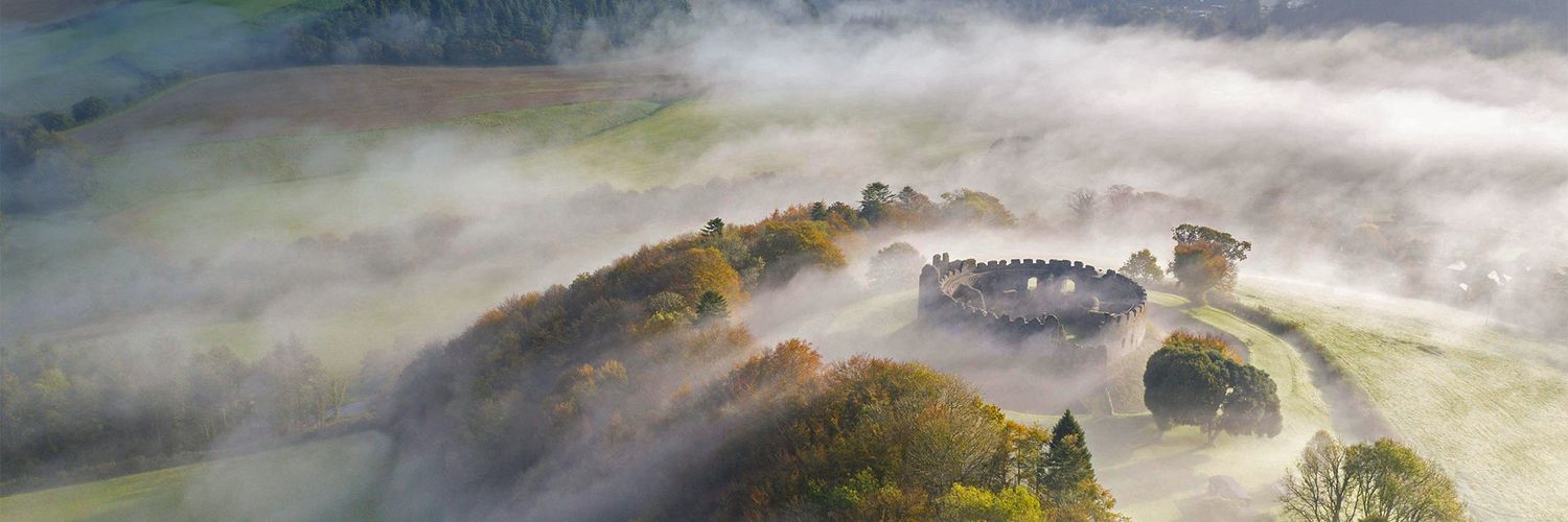 tzhangtwit's profile banner image