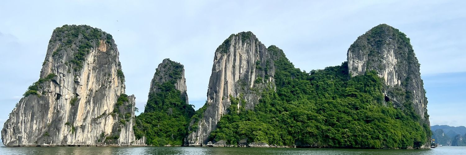 Koen Feyaerts banner