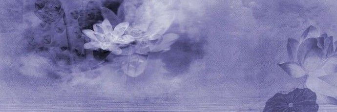seiswtr's profile banner image