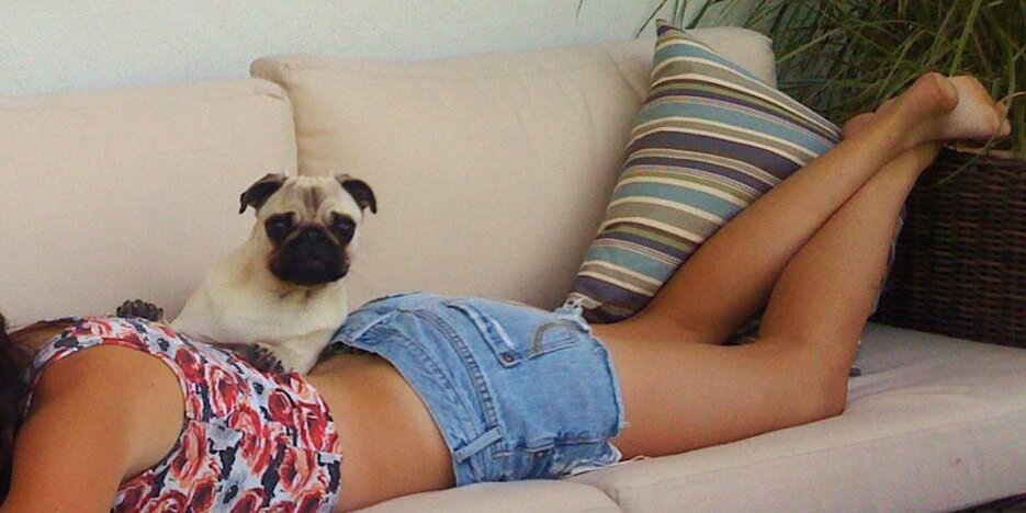 Tahlee_'s profile banner image