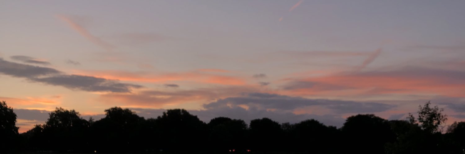 Darya banner