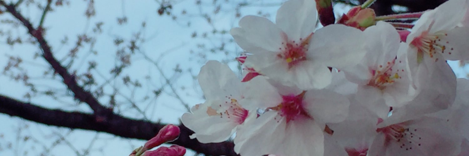 miiiha_MIN's profile banner image
