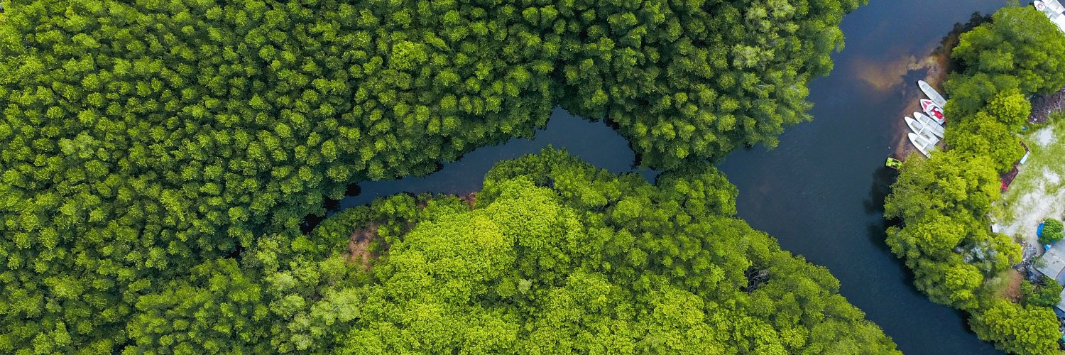 4C: Cambridge Centre for Carbon Credits banner