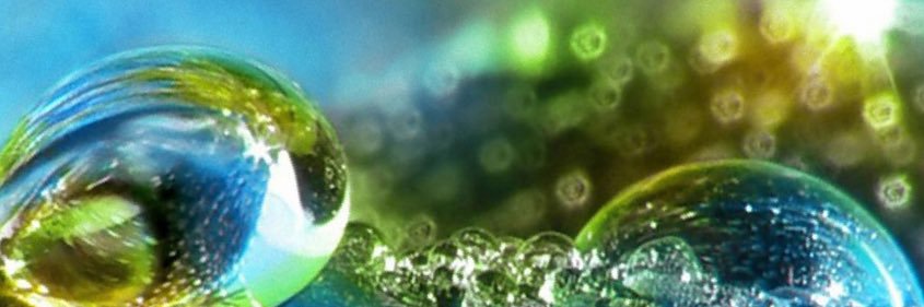 mana_onion's profile banner image