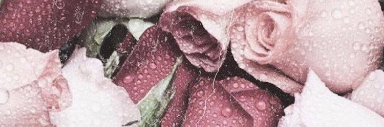hanteddleton's profile banner image