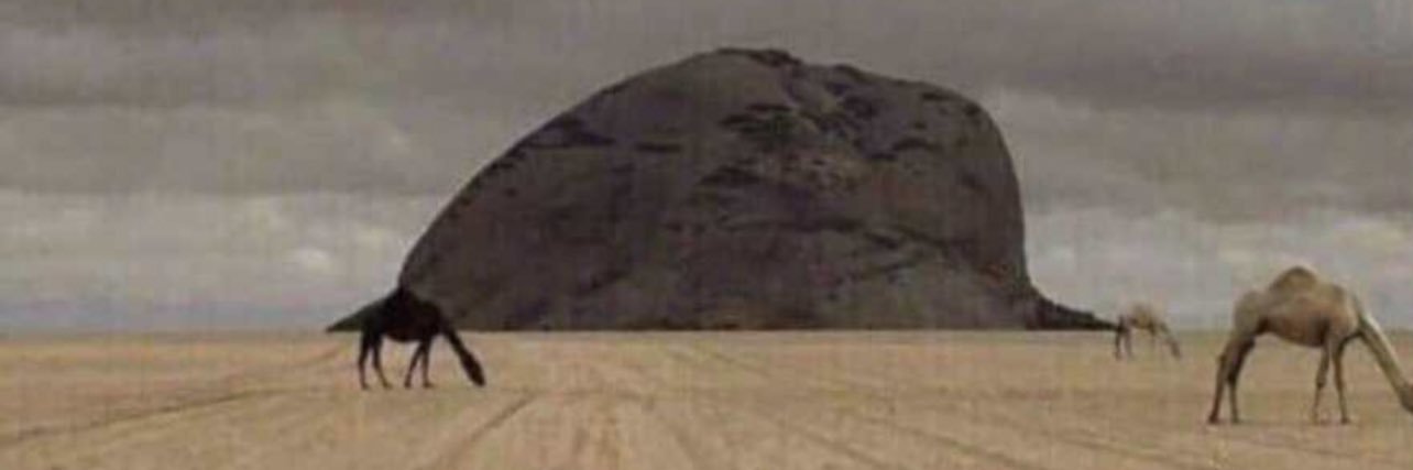 ناصر بن سلمان banner