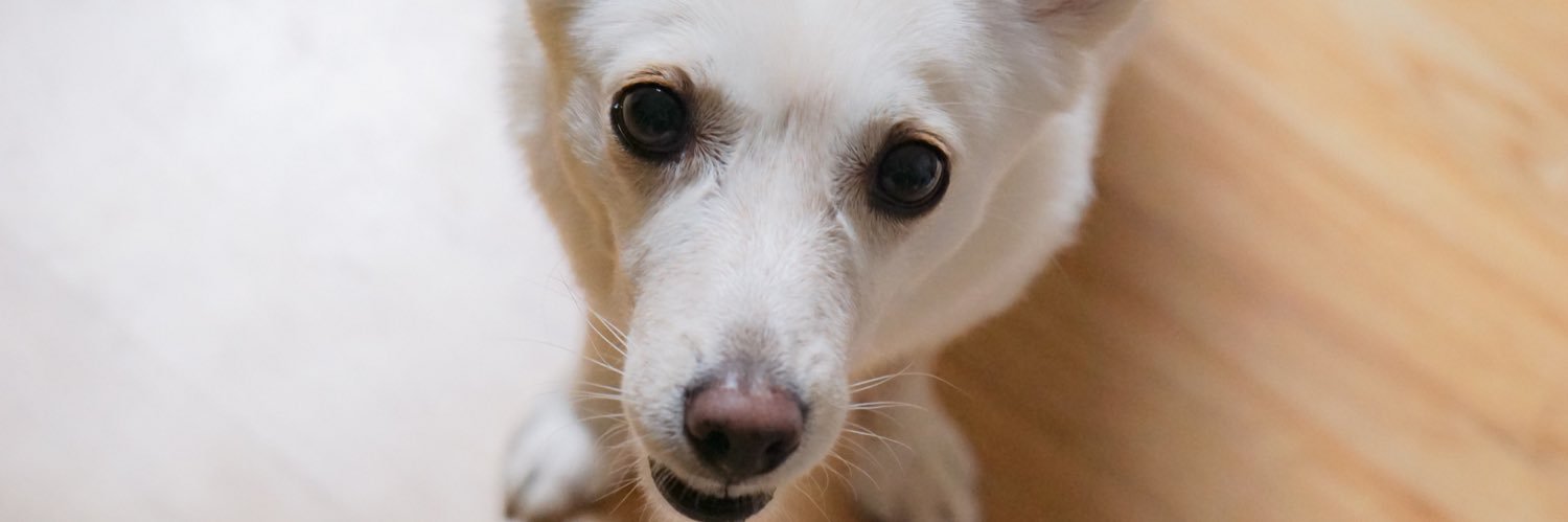 wealthybehappy's profile banner image