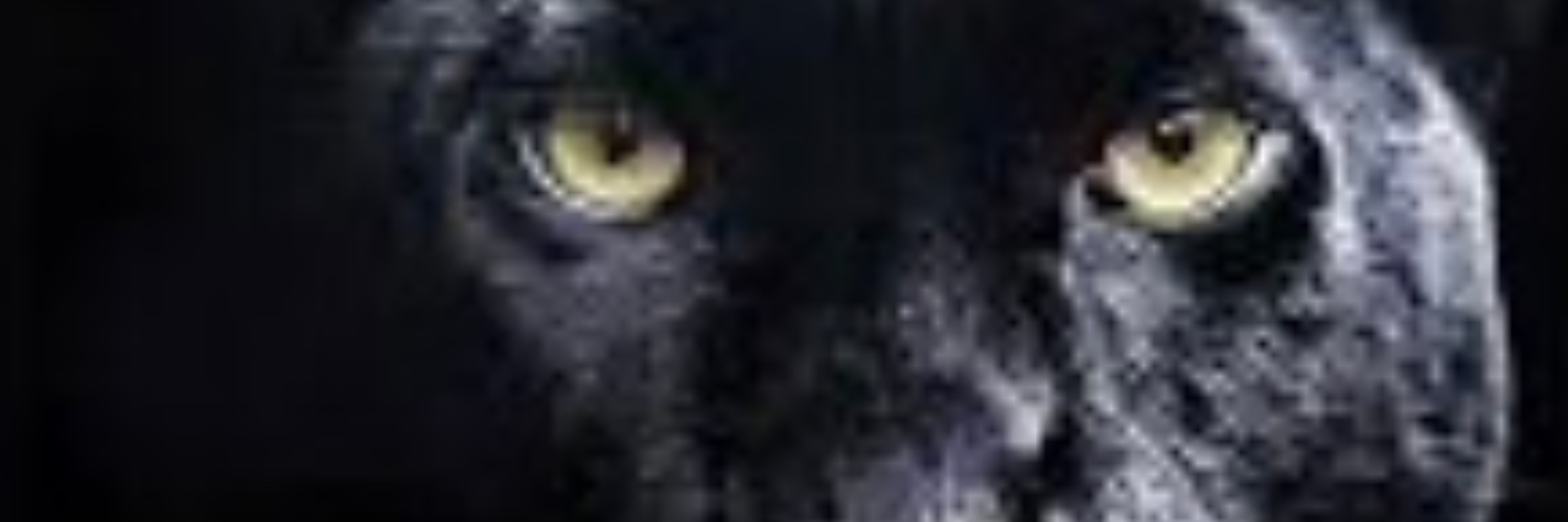 HHS Panther Football's banner