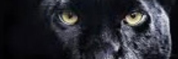 HHSPantherFB Profile Banner
