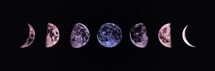 Elise_Marie_XIX's profile banner image