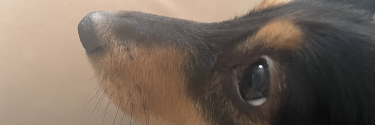 ぼってん🦴 banner