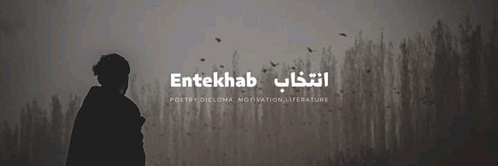 Entekhab22's profile banner image