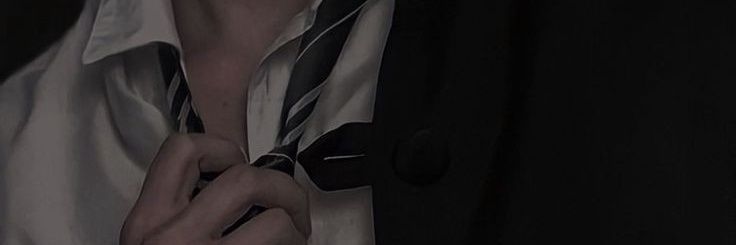 SW banner