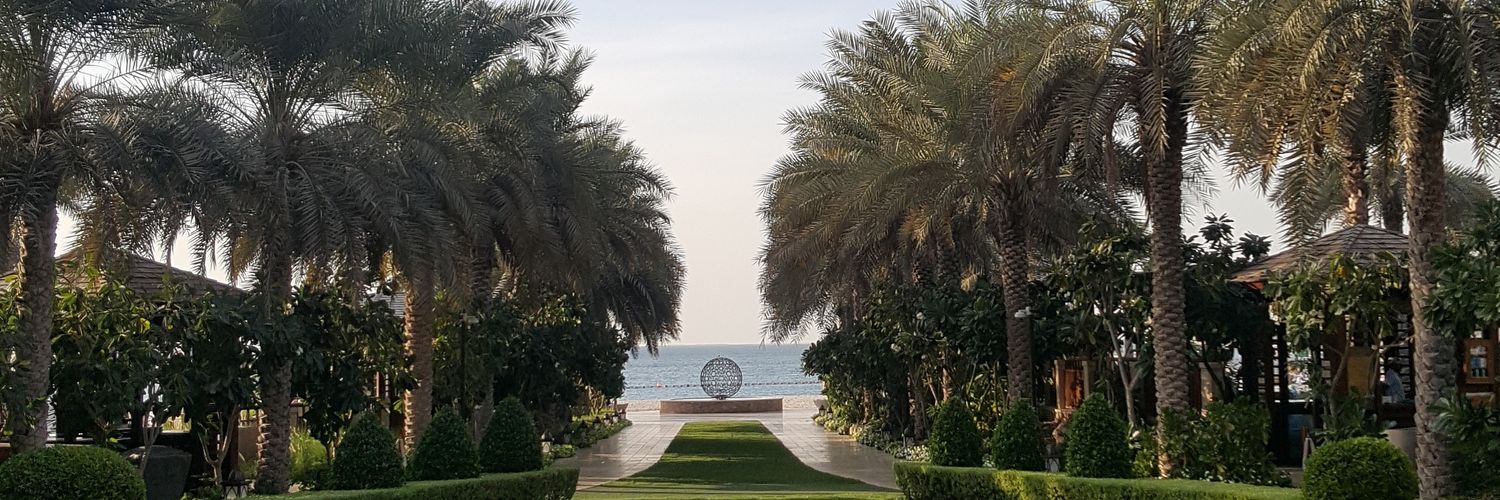 Michael O'Neill banner