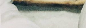 ww banner