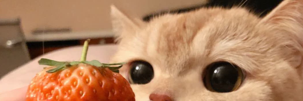 Unknown_chen's profile banner image