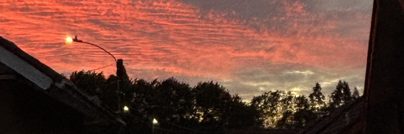 FreenMartini🍸 banner