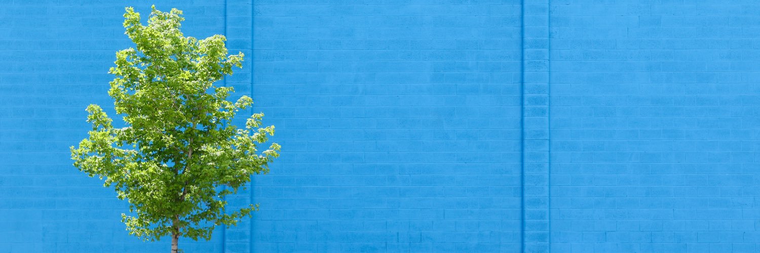 amandairene48's profile banner image