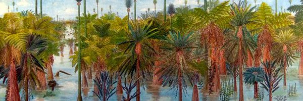 EternityDotnet Profile Banner