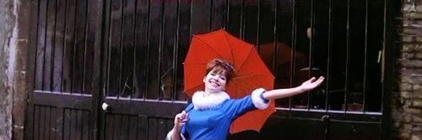 passssiflora Profile Banner