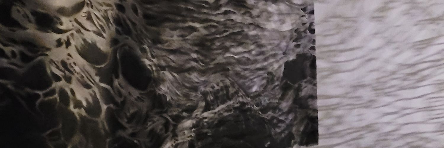 spinachgoreng's profile banner image