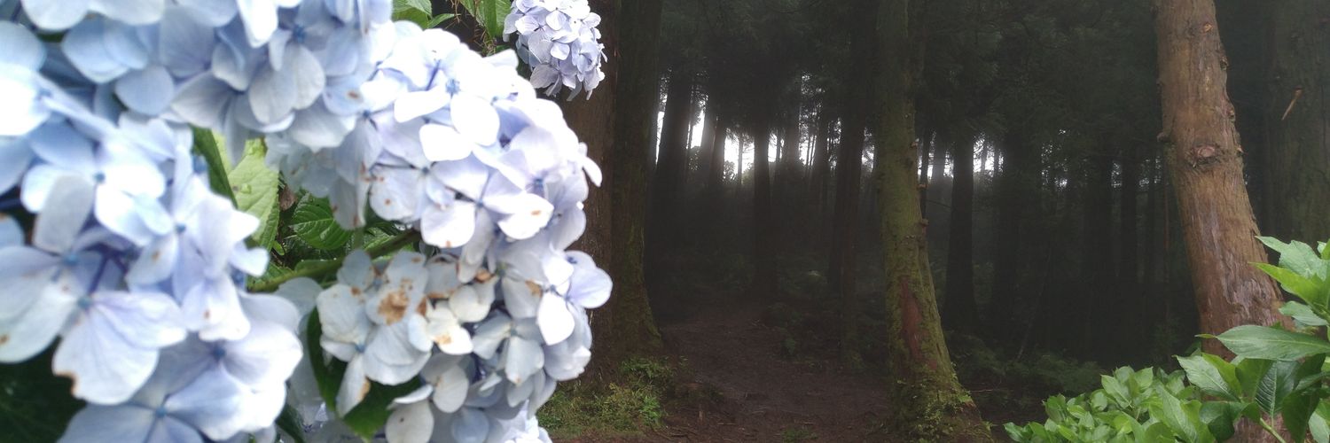 arromic's profile banner image